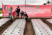 Anggota DPR Vita Ervina Beri Puluhan Ribu Bibit Porang Bantu Petani Magelang