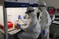 Kementan Perkuat Peran Bioinformatika Bidang Penyakit Hewan di ASEAN