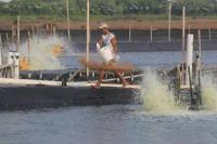 KKP : Pemerintah Telah Menerbitkan Sebanyak 25.493 `Prasehatkan`