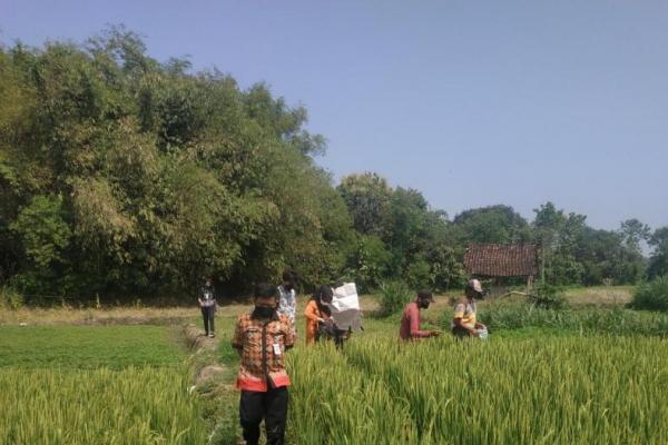 Berkolaborasi dengan tenaga ahli dari Direktorat Perlindungan Tanaman Dirjen Hortikultura Kementan, Anggota Kelompok Tani (Poktan) Tani Subur Kecamatan Nogosari diberikan penjelasan terjadinya pergeseran musim akibat dampak perubahan iklim (DPI) global.