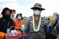 Kementan Dorong Pengembangan Hilirisasi Nanas
