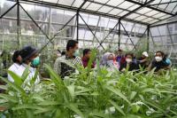 Serikat Pekerja Minta Kemnaker Kembangkan Pelatihan Peningkatan Skill