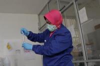 KKP : Waspadai Penyakit Eksotik Mengancam Budidaya Ikan