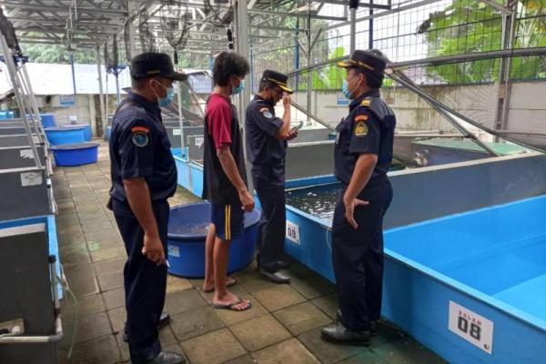 Poin pentingnya tentu impor tidak dilarang, namun pengendalian dan pengawasan akan dilaksanakan secara ketat agar sesuai dengan peruntukan.