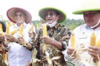 Fadel Muhammad Dorong Daerah Tingkatkan Komoditas Pangan