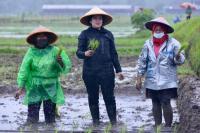 Puan Maharani Tanam Padi Hingga Serap Aspirasi Petani
