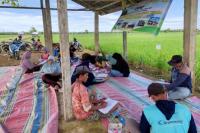 Sekolah Lapang Berkah Bagi Petani Pasaman