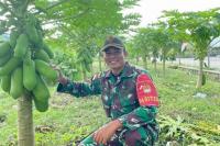 Satgas Pamtas Bersama UPT Kementan Perkuat Ketahanan Pangan di Perbatasan