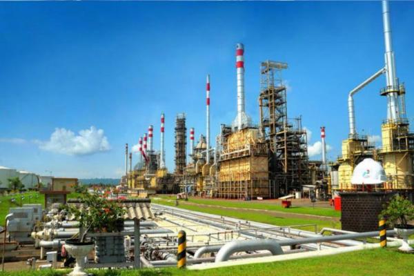 Biorefinery merupakan proyek energi bersih Pertamina dimana pengolahan kilang menggunakan bahan baku berupa renewable feedstock seperti RBDPO (minyak kelapa sawit) hingga UCO (minyak jelantah) guna menghasilkan bahan bakar yang lebih ramah lingkungan.