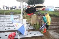 Syahrul Disambut Hujan Deras saat Kunjungi Food Estate di Wonosobo