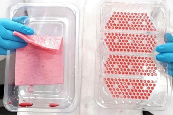 Alaizoki yang saat ini menempuh studi gelar doktor teknik, membuat nampan daging tanpa lapisan plastik penyerap terpisah di bawahnya. Dia mengatakan teknologi dapat digunakan di bidang lain, seperti popok.