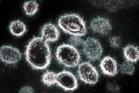 Singapura Batasi Perjalanan dari 7 Negara Afrika