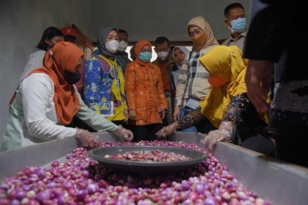 Kementerian Pertanian (Kementan) mendorong tumbuhnya UMKM hortikultura guna meningkatkan nilai tambah produk hortikultura serta meningkatkan diversifikasi olahan untuk memenuhi pasar domestik dan ekspor.