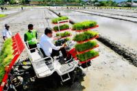 Intip Yuk, Mesin Tanam Padi yang Digunakan Presiden Jokowi di Trenggalek