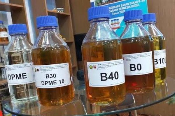 Sampai pekan keempat November 2021, dari alokasi awal biodiesel sebesar 9,2 juta kiloliter tercatat sudah terealisasi 8,08 juta kiloliter atau 87,9 persen dari total alokasi.