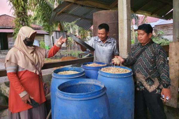 Pembakaran jerami secara terus-menerus di lahan pertanian dapat menyebabkan meningkatnya suhu udara di permukaan tanah serta menyebabkan polusi udara.