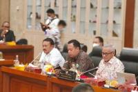 Komisi VI DPR Apresiasi Perizinan Usaha Mikro Capai 94,42% Lewat OSS