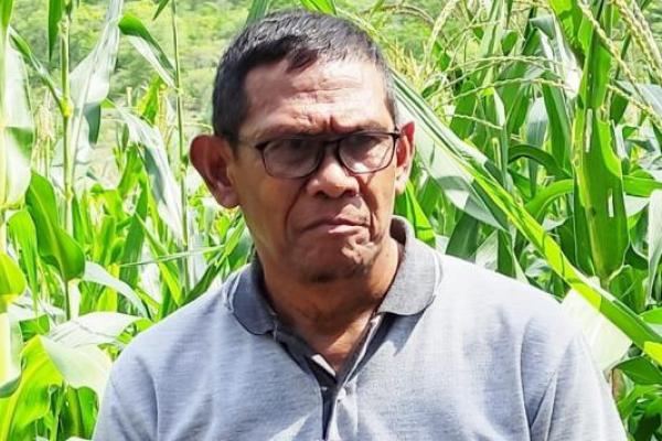 Lecky menyampaikan bahwa produksi jagung NTT setiap tahun bekisar di angka 750 ribu ton dari lahan 300 hektar.