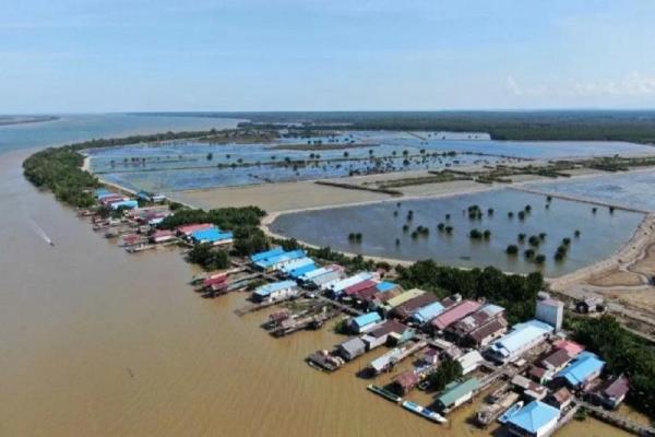 Hal ini dilakukan karena alih fungsi lahan berupa pembukaan tambak udang yang tidak terencana di lokasi itu menjadi pendorong utama deforestasi mangrove.