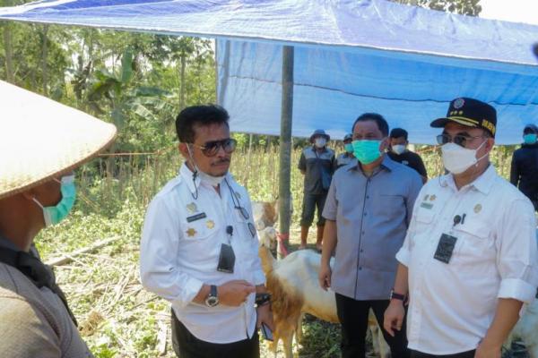 Kementerian Pertanian (Kementan), dan Dinas Pertanian Provinsi dan Kabupaten Lumajang akan membuat format penanganan bersama.