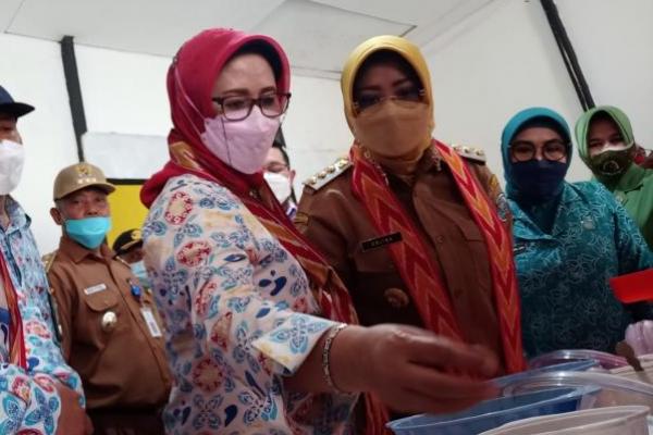 Kegiatan ini merupakan hasil kerja sama antara BKKBN dan PT Pelindo melalui program CSR (Corporate Social Responsibility) dengan memberikan bantuan kepada lima desa.