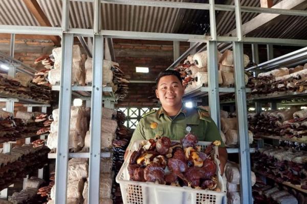 Jamaludin Nur Rido, layak ditiru. Mahasiswa Politeknik Pembangunan Pertanian Yogyakarta Magelang (Polbangtan YoMa)