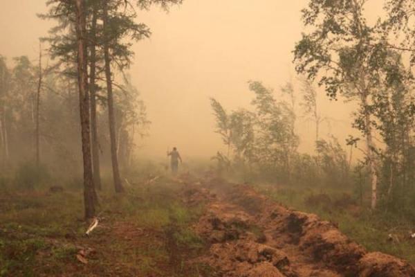 Hasil penelitian ilmuwan menemukan bahwa gumpalan asap kebakaran hutan dalam beberapa tahun terakhir, berkontribusi pada pemanasan di Kutub Utara (Arktik).