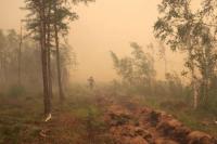 Kebakaran Hutan Sebabkan Pencairan Es di Kutub Utara