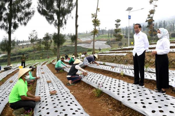 Kepada para petani, Presiden Jokowi optimis produktivitas pertanian Indonesia akan semakin baik, dan yang terpenting kesejahteraan para petani juga akan meningkat.