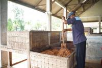 Strategi Jitu LPEI Bantu UKM Naik Kelas dan Mendunia