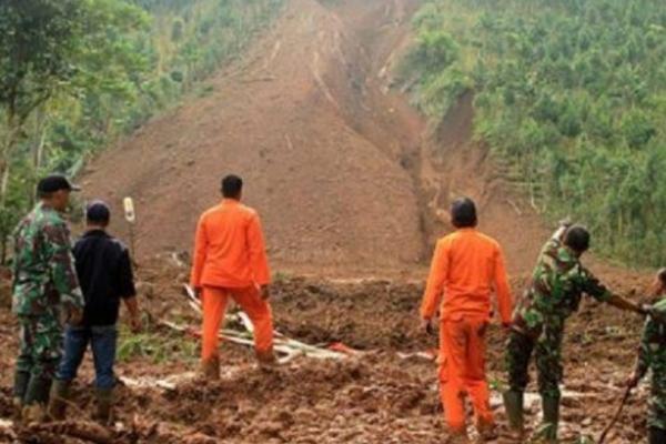 mengkompensasi kerusakan hutan yang keliru.