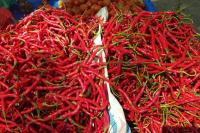 Anggota DPR Minta Pemerintah Turun Tangan Stabilkan Harga Cabai Jelang Nataru