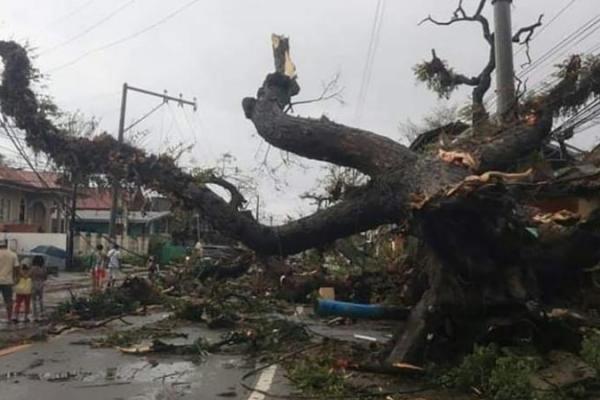 Lebih dari 300.000 orang meninggalkan rumah dan resor tepi pantai mereka saat Topan Rai melanda wilayah selatan dan tengah nusantara. Badai itu memutus komunikasi dan listrik di banyak daerah, merobek atap dan menjatuhkan tiang listrik beton.