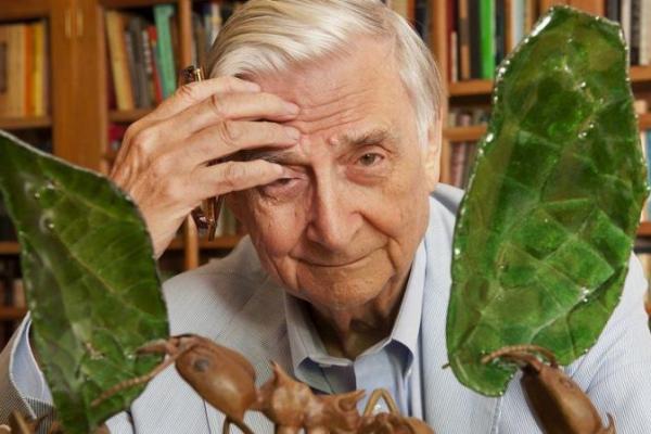 Edward Osborne Wilson, salah satu naturalis dan konservasionis terkemuka dunia, meninggal dunia pada usia 92 tahun.