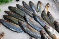 KKP Pastikan Stok Ikan Aman untuk Nataru