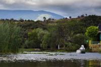Sempat Punah, Ikan Tequila Kembali Dilepas ke Alam Liar