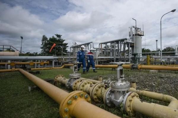 Kementerian ESDM menyatakan tanah terkontaminasi minyak bumi di Blok Rokan merupakan akibat dari kegiatan eksplorasi dan eksploitasi oleh PT Chevron Pacific Indonesia (CPI).