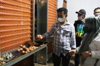 Kementan: Kenaikan Harga Telur Ayam Masih dalam Kendali Pemerintah