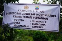 Program Kampung Alpukat Kementan di Cianjur Mulai Berjalan
