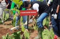 Ribuan Pohon Ditanam dalam Bina Desa Konservasi Lahan Kritis