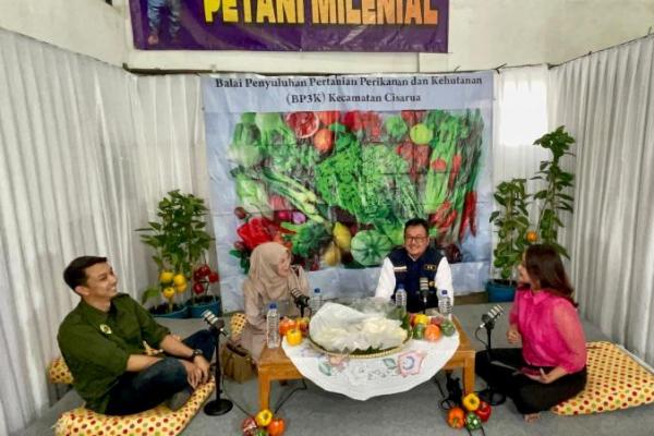 Budidaya paprika ini bisa lebih maju lagi, dan bisa menyuplai pasar.