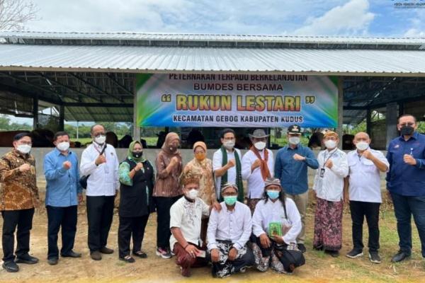 Pilot project Program Desa Peternakan Terpadu Berkelanjutan melalui BUM Desa Bersama berada pada tujuh kabupaten, yaitu Bandung, Cirebon, Kebumen, Nganjuk, Jombang, Lumajang dan Kudus.
