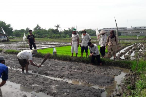 Dengan diajarkan cara menyemai irit benih, Kementan mengajak para petani untuk memenuhi komoditas bawang dan kedelai di pasaran.