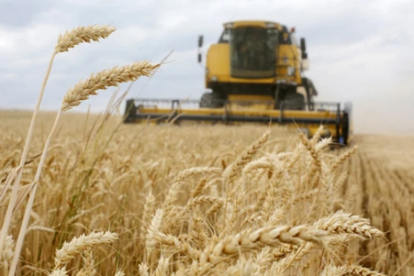  Rusia adalah pengekspor gandum terbesar di dunia, sementara Ukraina adalah yang terbesar kelima