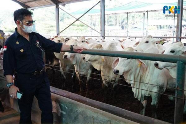 Kementerian Pertanian (Kementan) terus bergerak dalam memastikan data yang diterima sesuai dengan data yang ada dilapangan diantaranya melalui peninjauan langsung peternakan sapi yang ada.