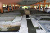 KKP Dorong Pedagang Ikan Bentuk Koperasi 