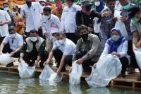 KKP Gandeng FAO Restocking Ikan Endemik di Kampar