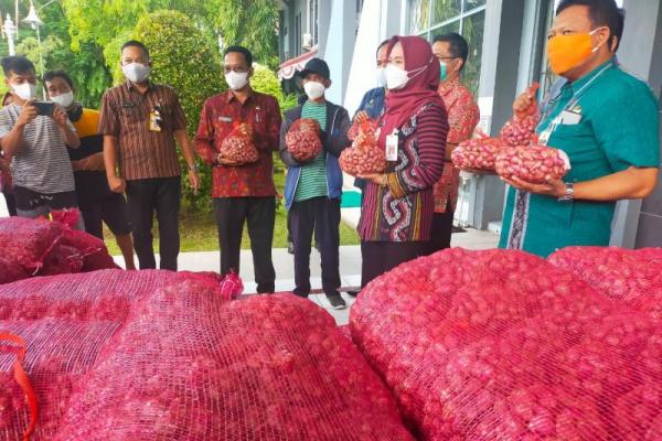  Produksi bawang merah pada panen yang akan dilaksanakan pada bulan April nanti mencapai 9.837 ton.