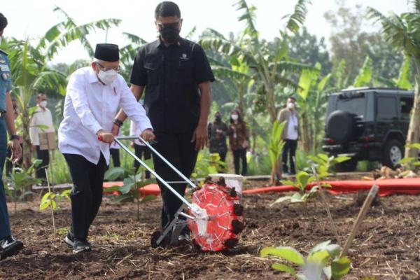 Integrated Farming adalah ekosistem yang bisa membawa pertanian Indonesia jauh lebih modern dan bisa memberdayakan masyarakat melalui pertanian terintegrasi.