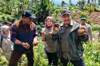 Hasil Food Estate Hortikultura Garut Siap Pasok Kebutuhan Selama Ramadan dan Idulfitri